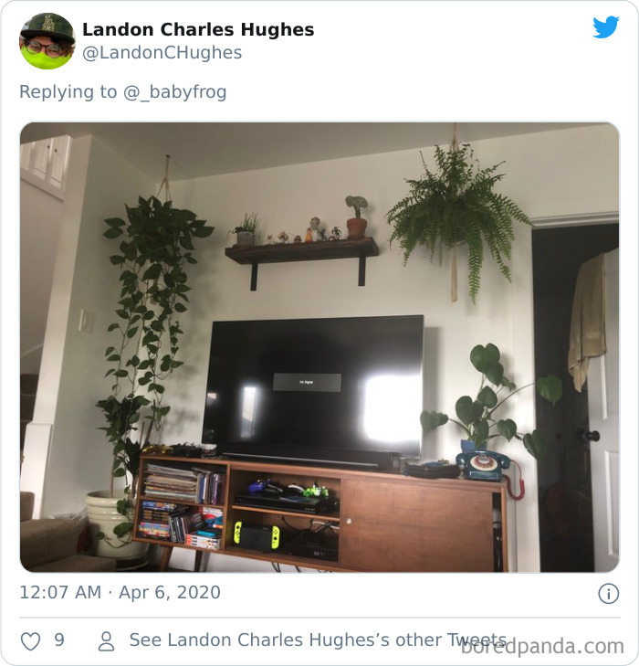 Plants-Obsession-Illustration-Cecile-Dormeau