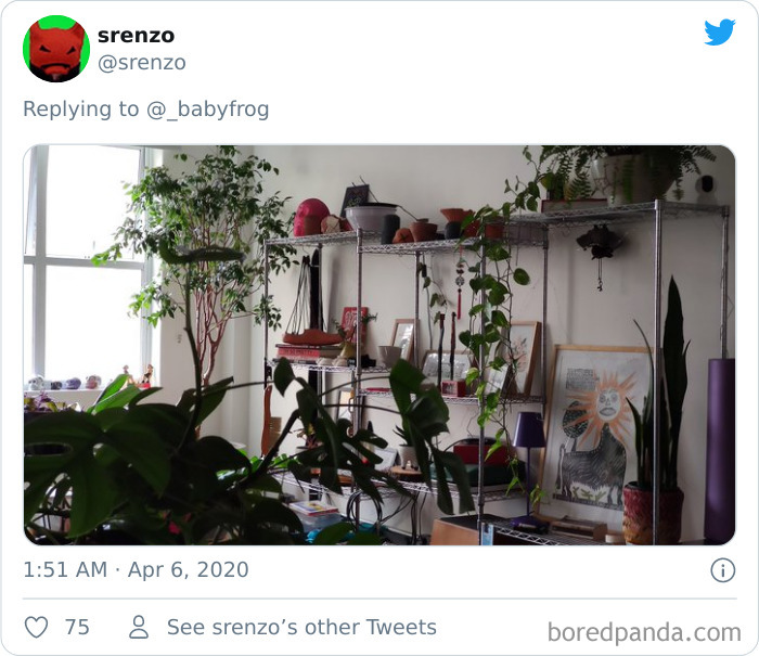 Plants-Obsession-Illustration-Cecile-Dormeau