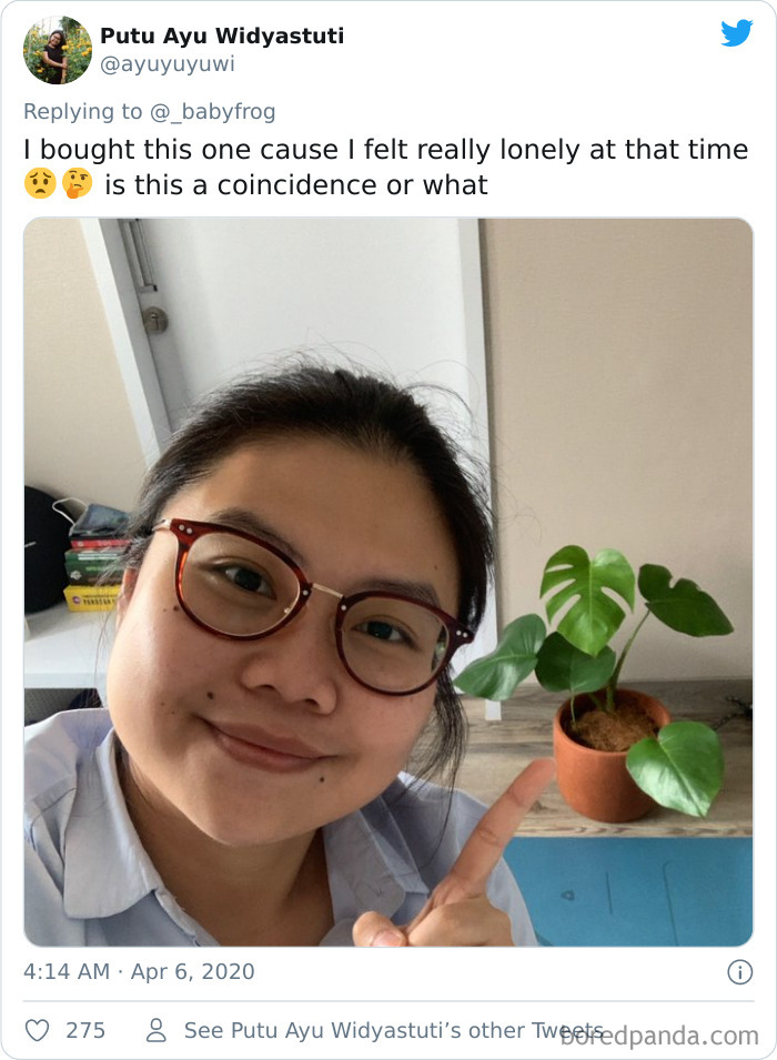 Plants-Obsession-Illustration-Cecile-Dormeau