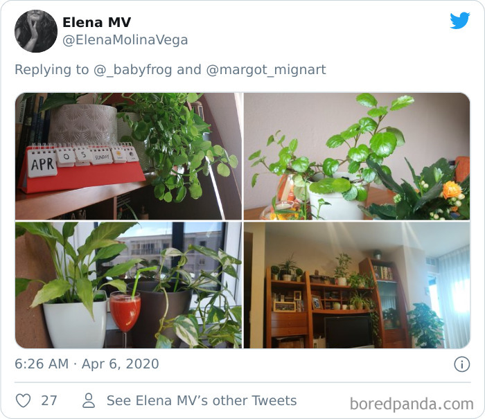 Plants-Obsession-Illustration-Cecile-Dormeau