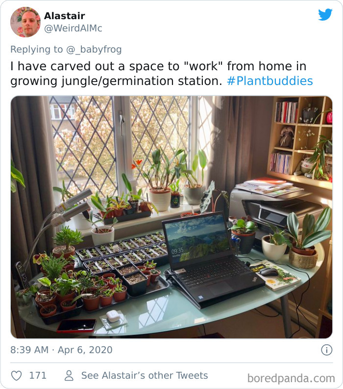 Plants-Obsession-Illustration-Cecile-Dormeau