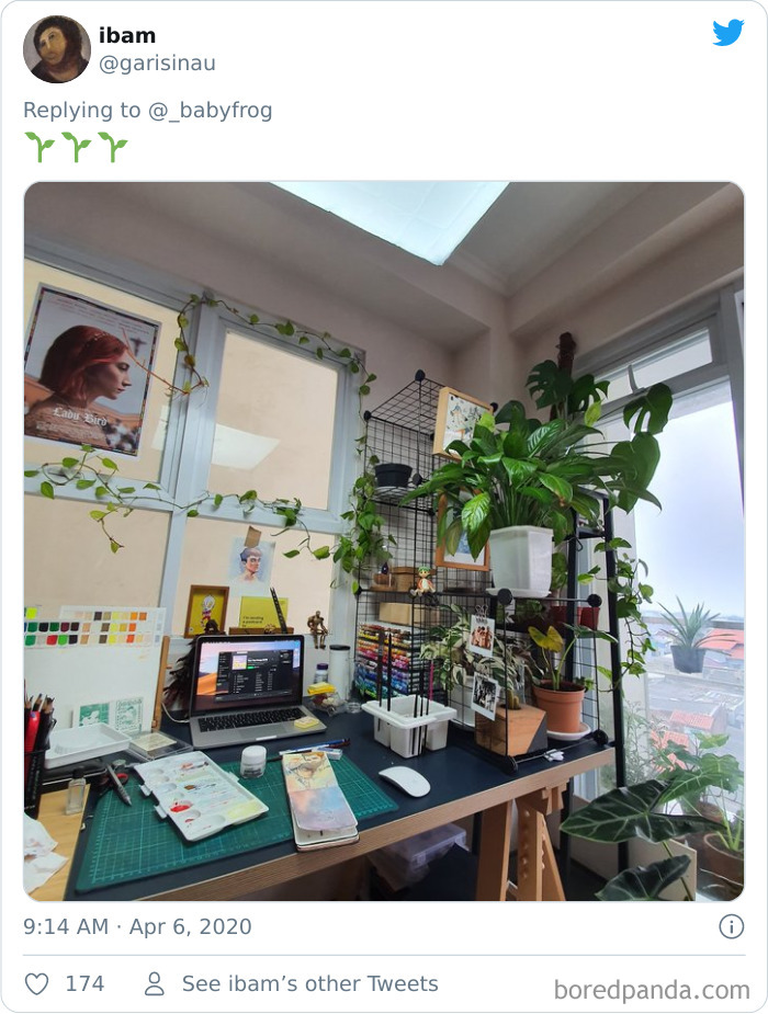 Plants-Obsession-Illustration-Cecile-Dormeau