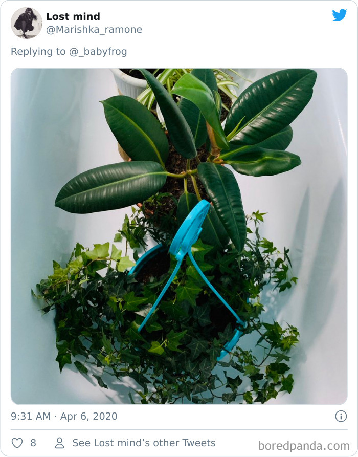 Plants-Obsession-Illustration-Cecile-Dormeau