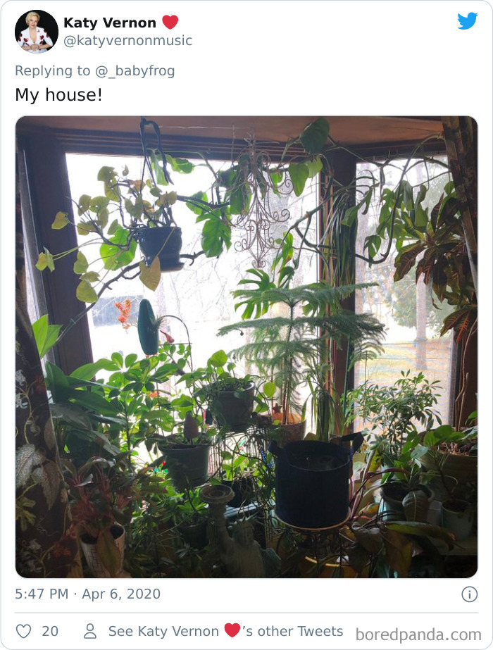 Plants-Obsession-Illustration-Cecile-Dormeau