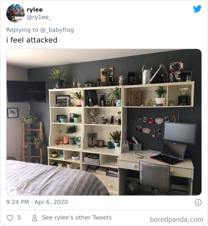 Plants-Obsession-Illustration-Cecile-Dormeau