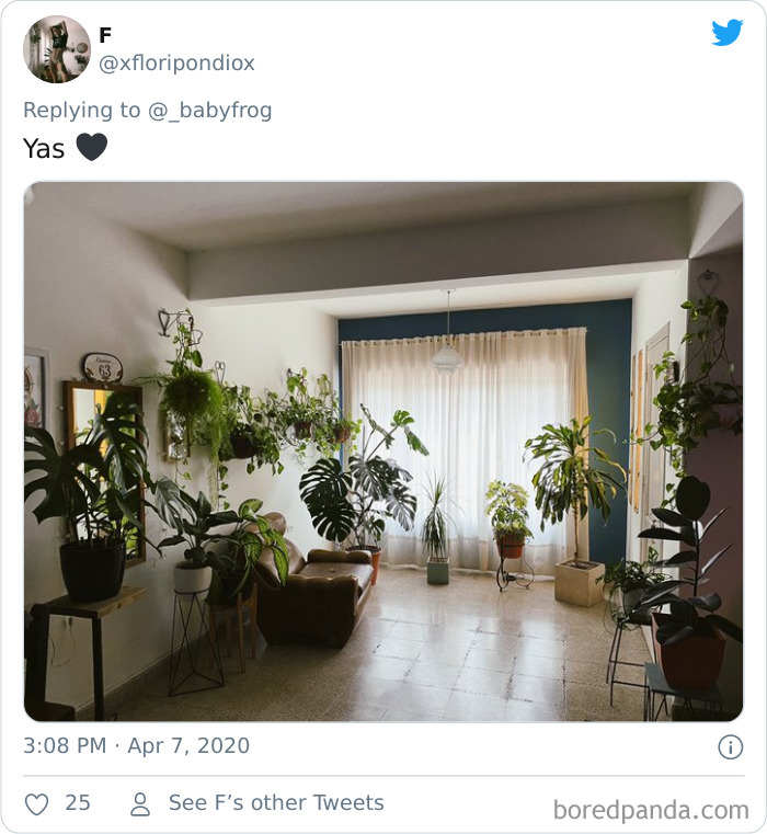 Plants-Obsession-Illustration-Cecile-Dormeau