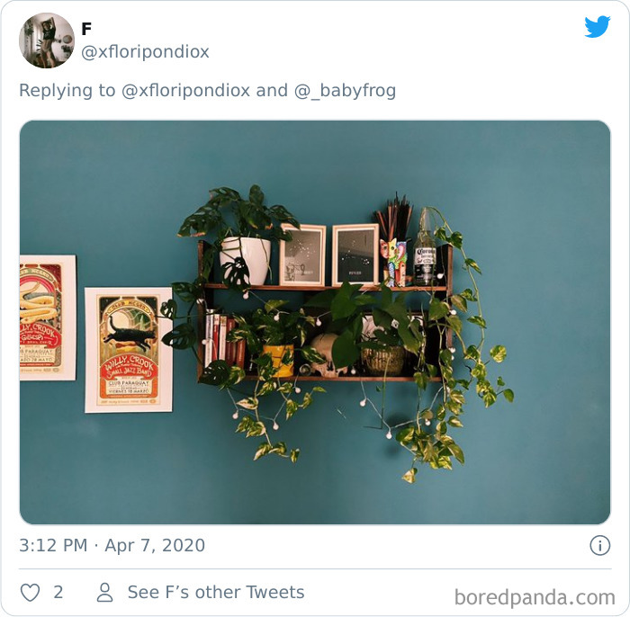 Plants-Obsession-Illustration-Cecile-Dormeau