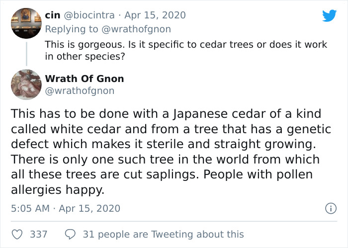 Apparently, This Ancient Japanese Technique From The 14th Century Allows People To Produce Lumber Without Having To Cut Down Trees