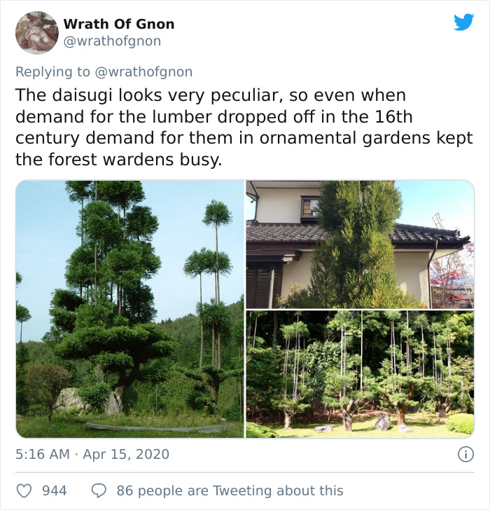 Apparently, This Ancient Japanese Technique From The 14th Century Allows People To Produce Lumber Without Having To Cut Down Trees Apparently, This Ancient Japanese Technique From The 14th Century Allows People To Produce Lumber Without Having To Cut Down Trees