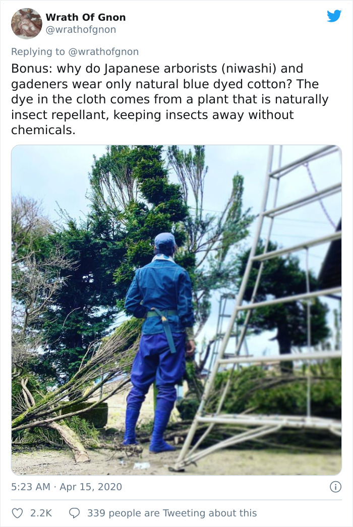 Apparently, This Ancient Japanese Technique From The 14th Century Allows People To Produce Lumber Without Having To Cut Down Trees