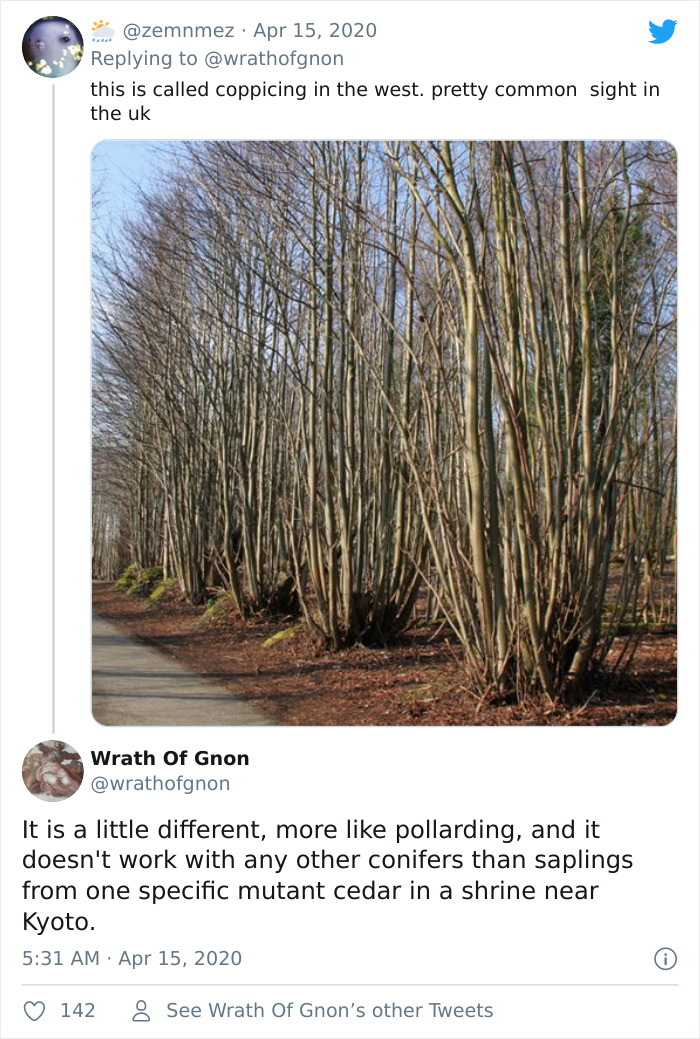 Apparently, This Ancient Japanese Technique From The 14th Century Allows People To Produce Lumber Without Having To Cut Down Trees