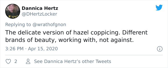 Apparently, This Ancient Japanese Technique From The 14th Century Allows People To Produce Lumber Without Having To Cut Down Trees