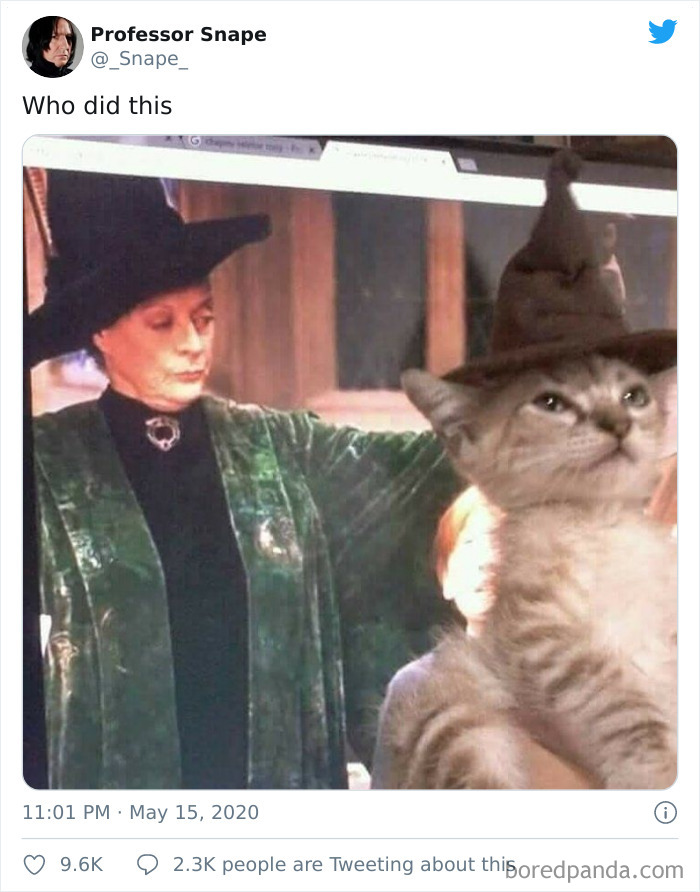 Funny-Professor-Snape-Tweets