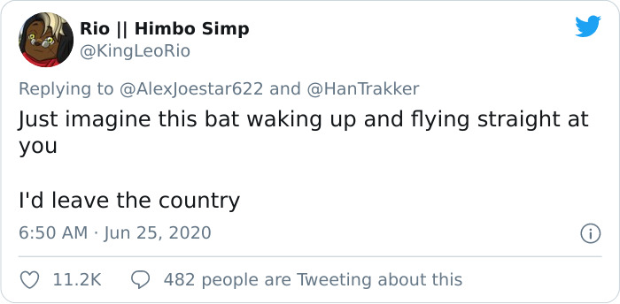 People Are Horrified Over This Enormous 'Human-Sized' Bat