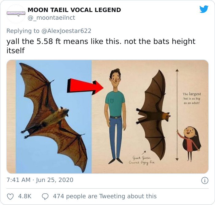 People Are Horrified Over This Enormous 'Human-Sized' Bat