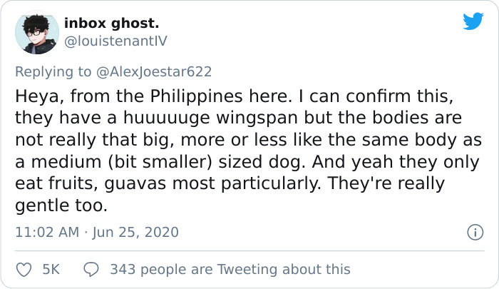 People Are Horrified Over This Enormous 'Human-Sized' Bat People Are Horrified Over This Enormous 'Human-Sized' Bat