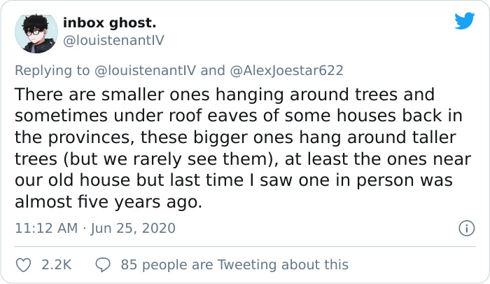 People Are Horrified Over This Enormous 'Human-Sized' Bat