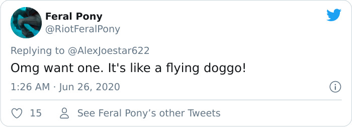 People Are Horrified Over This Enormous 'Human-Sized' Bat