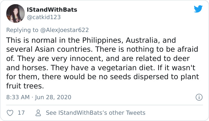 People Are Horrified Over This Enormous 'Human-Sized' Bat People Are Horrified Over This Enormous 'Human-Sized' Bat