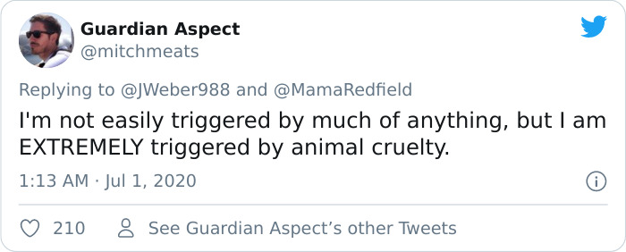 Disabled Dog That Was Dumped By Its Heartless Owners Twice In One Day Finds A Forever Home Disabled Dog That Was Dumped By Its Heartless Owners Twice In One Day Finds A Forever Home