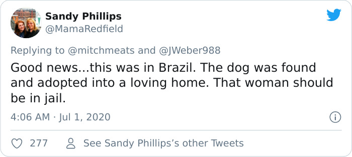 Disabled Dog That Was Dumped By Its Heartless Owners Twice In One Day Finds A Forever Home Disabled Dog That Was Dumped By Its Heartless Owners Twice In One Day Finds A Forever Home