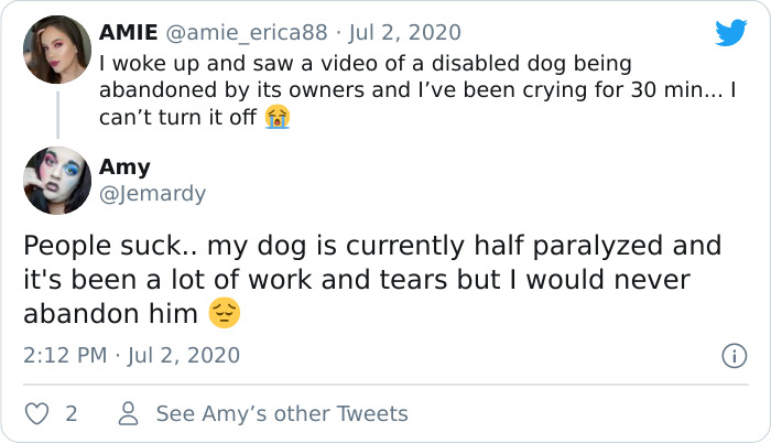 Disabled Dog That Was Dumped By Its Heartless Owners Twice In One Day Finds A Forever Home