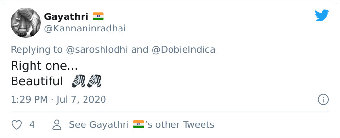 People Can't Agree Which Of These 2 Zebras Is Looking At The Camera People Can't Agree Which Of These 2 Zebras Is Looking At The Camera