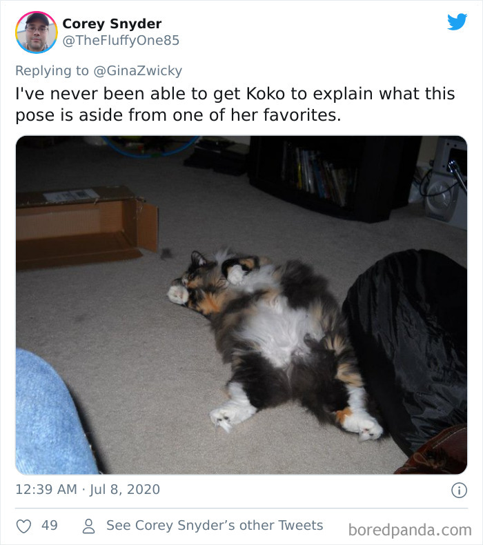 Ugly-Pictures-Of-Pets