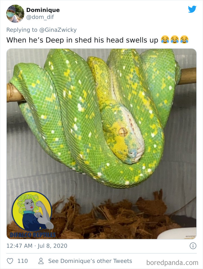 Ugly-Pictures-Of-Pets