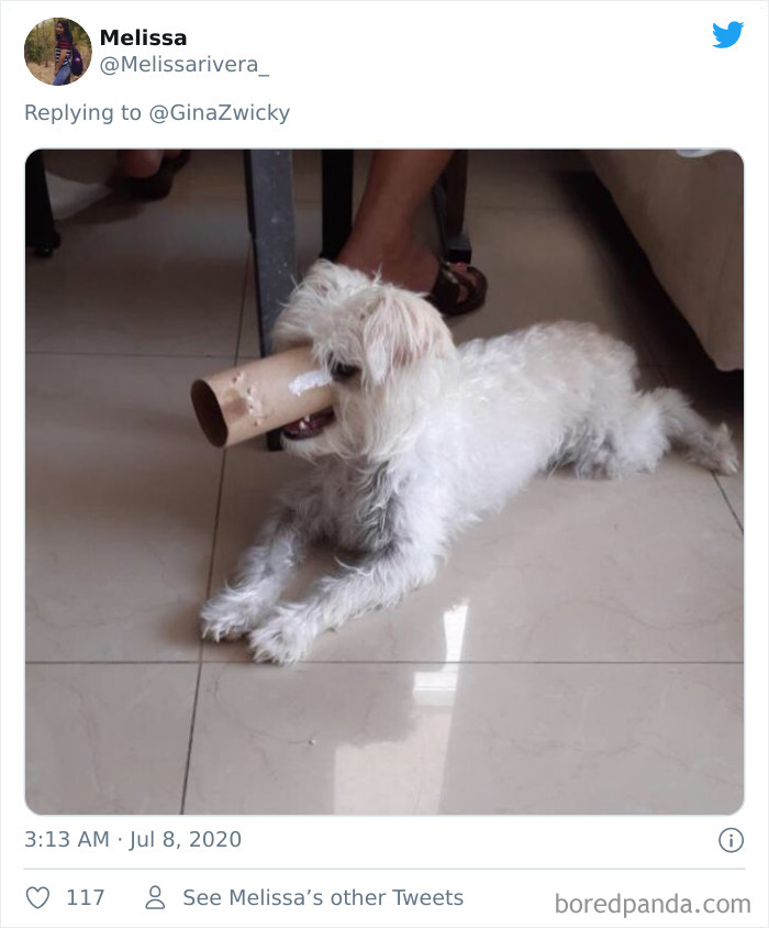 Ugly-Pictures-Of-Pets