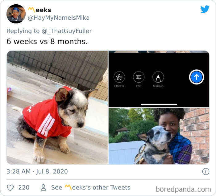 People-Share-Dog-Photos-Then-And-Now