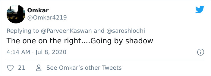 People Can't Agree Which Of These 2 Zebras Is Looking At The Camera People Can't Agree Which Of These 2 Zebras Is Looking At The Camera