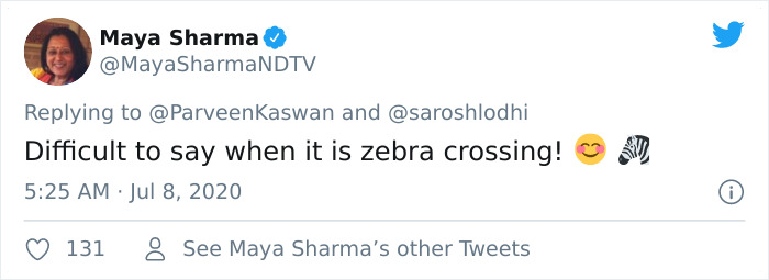 People Can't Agree Which Of These 2 Zebras Is Looking At The Camera People Can't Agree Which Of These 2 Zebras Is Looking At The Camera