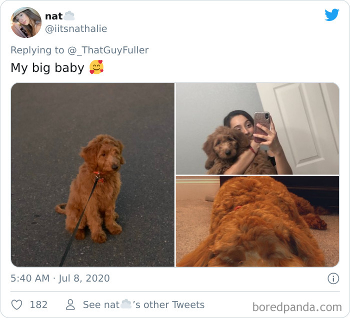 People-Share-Dog-Photos-Then-And-Now