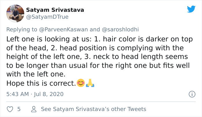 People Can't Agree Which Of These 2 Zebras Is Looking At The Camera