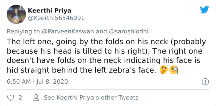 People Can't Agree Which Of These 2 Zebras Is Looking At The Camera