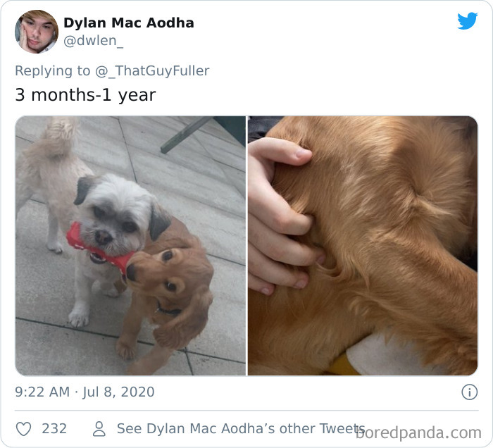 People-Share-Dog-Photos-Then-And-Now