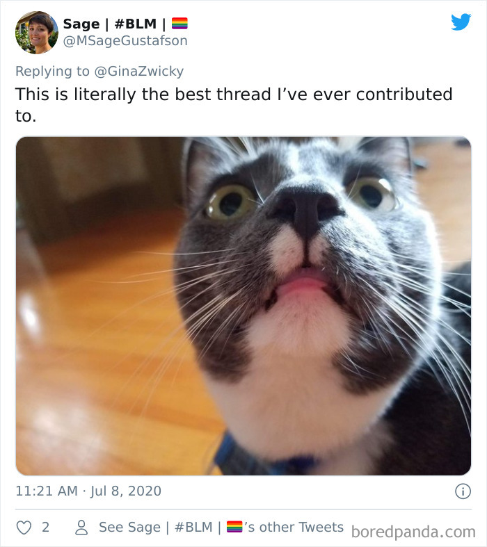 Ugly-Pictures-Of-Pets