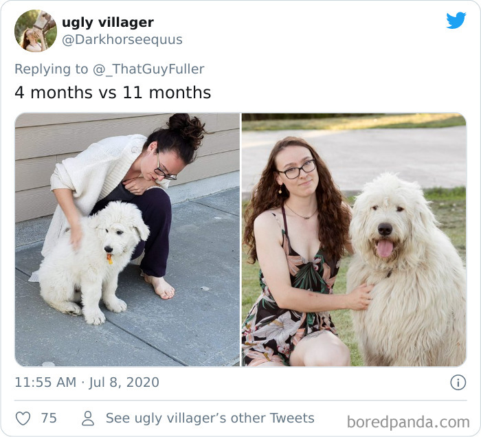People-Share-Dog-Photos-Then-And-Now