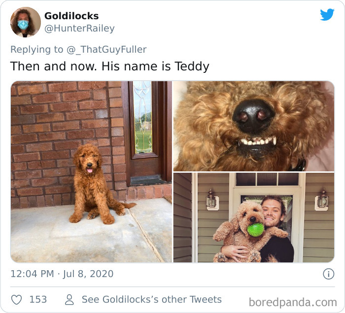 People-Share-Dog-Photos-Then-And-Now