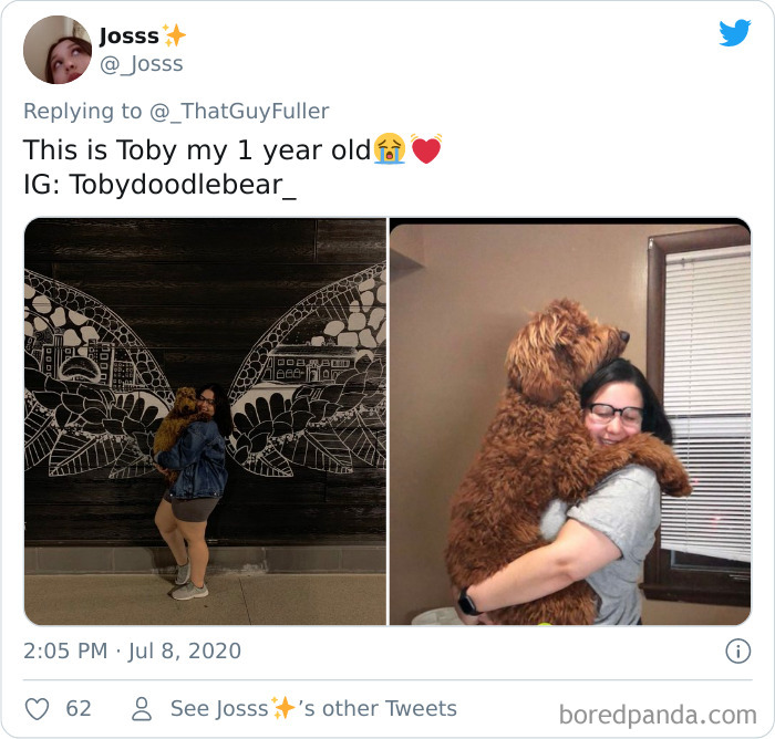 People-Share-Dog-Photos-Then-And-Now