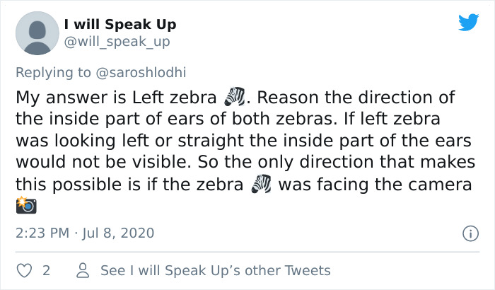 People Can't Agree Which Of These 2 Zebras Is Looking At The Camera