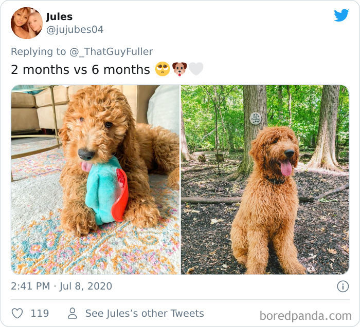 People-Share-Dog-Photos-Then-And-Now
