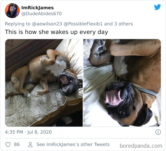 People-Share-Dog-Photos-Then-And-Now