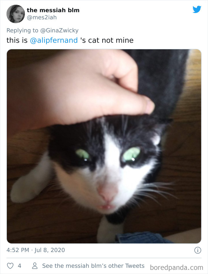 Ugly-Pictures-Of-Pets