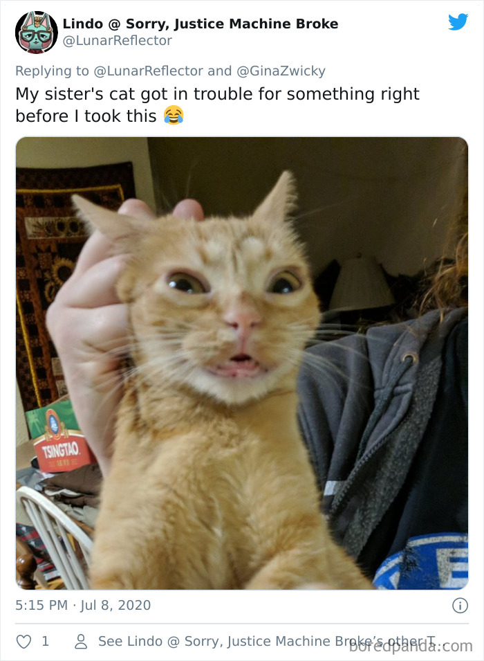 Ugly-Pictures-Of-Pets