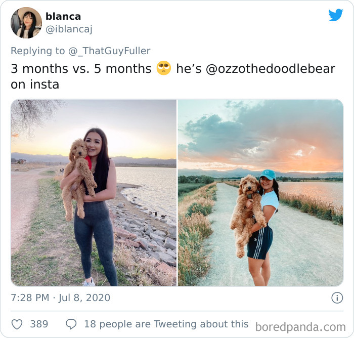 People-Share-Dog-Photos-Then-And-Now