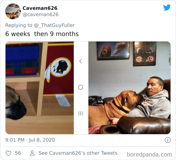 People-Share-Dog-Photos-Then-And-Now