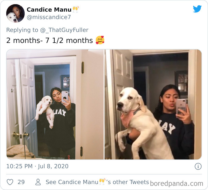 People-Share-Dog-Photos-Then-And-Now