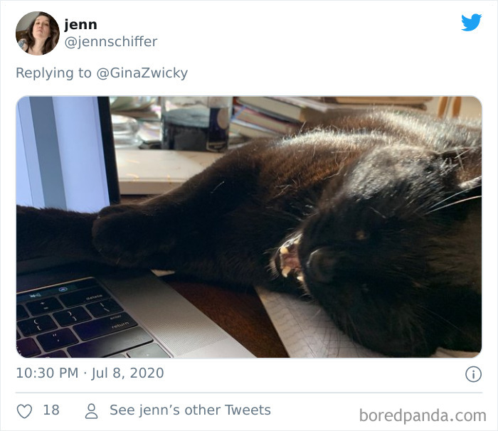 Ugly-Pictures-Of-Pets